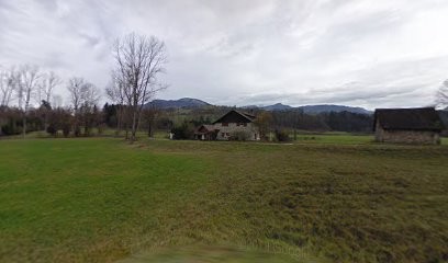 OmAni Énergie Magnétisme - Battentier Barbara. Magnétiseur, coupeur de feu, guérisseur. Praticienne en soin chamanique, Praticien de Médecine Alternative aux Échelles