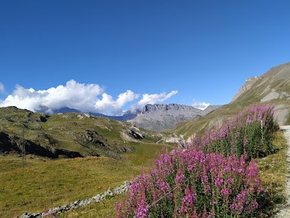 Jean-Charles Riguet, Praticien de Médecine Alternative à Montireau