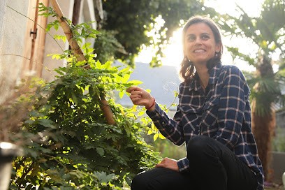 Naturo Sophie, Praticien de Médecine Alternative à Tarbes