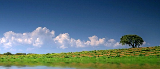 Chiganne Geneviève, Réflexologue à Ballancourt-sur-Essonne