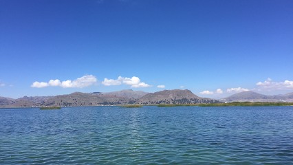 MarieJ Réflexologie, Réflexologue à Chabournay