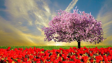 Isabelle AUVRAY Sophrologue-Hypnothérapeute, Hypnothérapeute à Écully