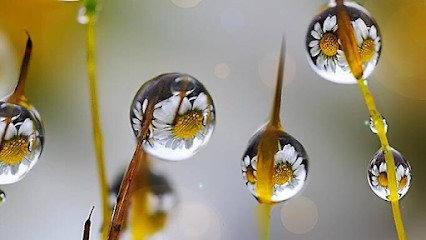 Delphine VALLOT - Educatrice En Santé Naturelle, Praticien de Médecine Alternative à Maclas