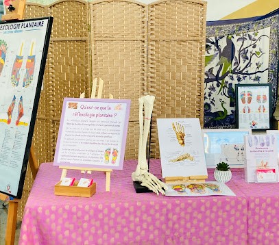 Réflexologie Quintessence Anne-Virginie, Réflexologue à Châteaurenard