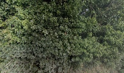 Attard Gilbert, Praticien de Médecine Alternative à La Crau