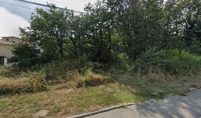 Sylvie Trucy Psychopraticienne - Hypnose Humaniste, Praticien de Médecine Alternative à Montagny