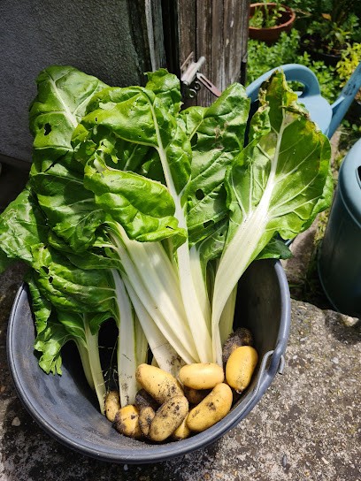 BIEN ETRE ET VOUS 33, Praticien de Médecine Alternative au Tuzan