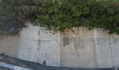 Palomba Pascal, Praticien de Médecine Alternative à La Trinité