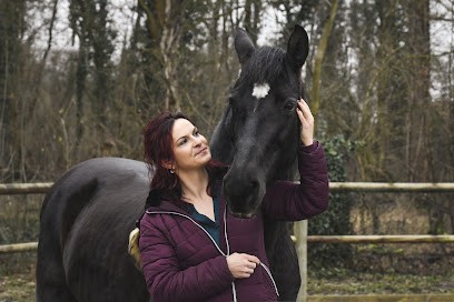 Dietsch Lysiane, Praticien de Médecine Alternative à Obersaasheim