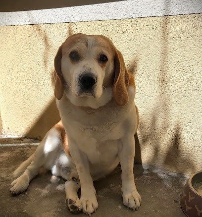 Therapiesubtile, Praticien de Médecine Alternative à Vedène