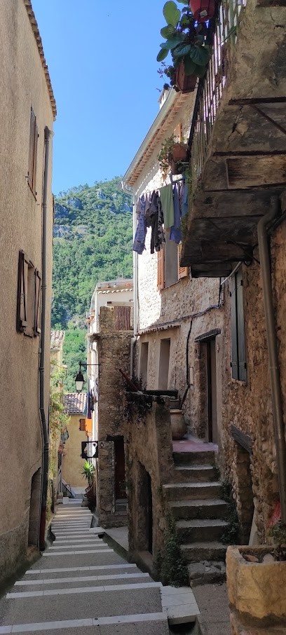 Le Broc, Praticien de Médecine Alternative au Broc