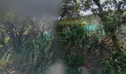 Hivert-Sauze Sophie Naturopathe, Praticien de Médecine Alternative à Caumont-sur-Durance