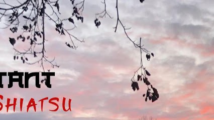 Octant Shiatsu - Benoit Maunet, Praticien de Médecine Alternative à Izon