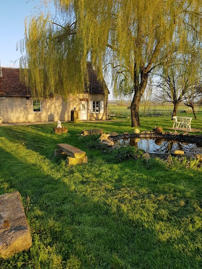 Guérisseur/magnétiseur/hypnothérapeute, Praticien de Médecine Alternative à Baugy