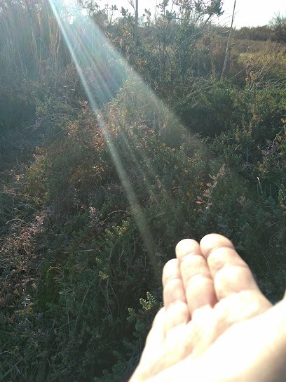 Thierry Gavens - Magnétiseur à Cournonterral, Praticien de Médecine Alternative à Cournonterral