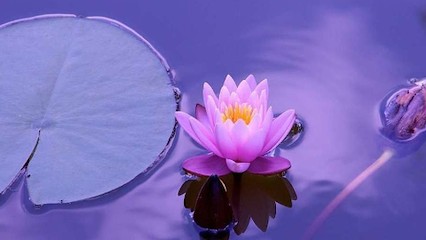 Equilibreinterieur, Praticien de Médecine Alternative au Boupère