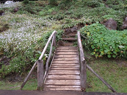 R'ose ta vie, Hypnothérapeute à Saint-Amand-en-Puisaye