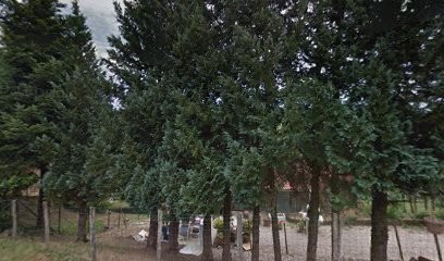 Céline HUGEL - Cabinet Médecines Douces, Praticien de Médecine Alternative à Joudes