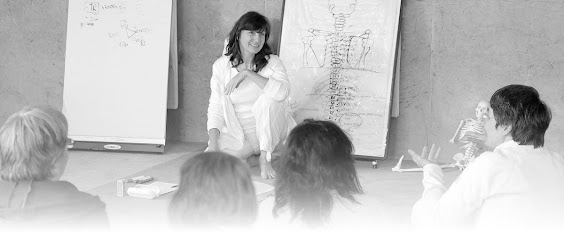 Shin Sei Shiatsu, Praticien De Médecine Alternative à Strasbourg