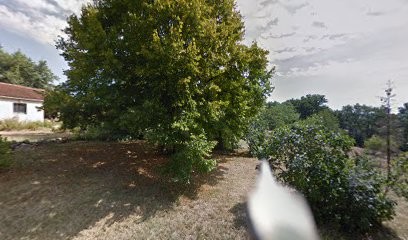 Adaptopraxis, Praticien de Médecine Alternative à Foulayronnes