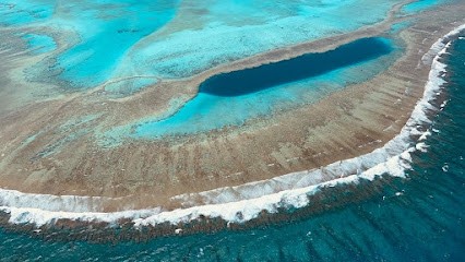 Léa Léger Réflexologie, Réflexologue à Parthenay