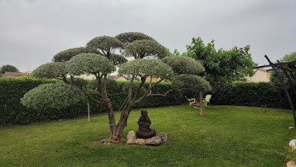 REFLEXOLOGUE CERTIFIÉE - CHRISTINE FAURIEL, Réflexologue à Portes-lès-Valence