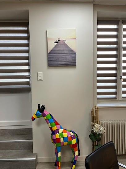 Philippe Moine Cabinet De Belleville, Praticien de Médecine Alternative à Villefranche-sur-Saône