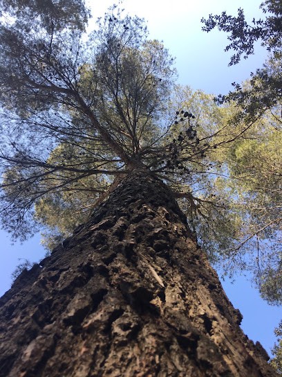 Emmanuelle Cardenas HYPNOSE et DTMA, Hypnothérapeute à Pithiviers