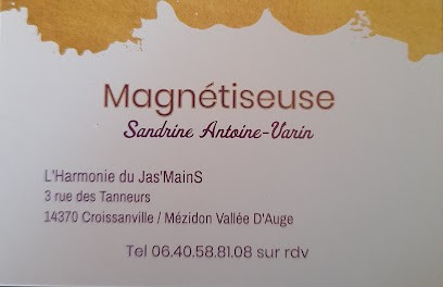 L'Harmonie du Jas'MainS, Praticien de Médecine Alternative à Valambray