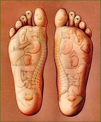 Andrea Sobrero Réflexologie, Réflexologue à Marseille 09