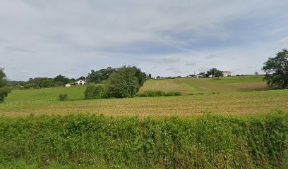 Marie Abano thérapeute énergétique et radiesthésiste, Praticien de Médecine Alternative à Pouillon