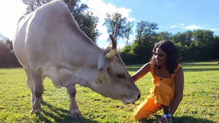 L'Esprit Animal Par Marie Cartier - Communication Animale, Praticien de Médecine Alternative à Vaux-sur-Mer