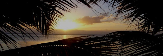 Sophrologue à Lyon, Praticien de Médecine Alternative à Tassin-la-Demi-Lune