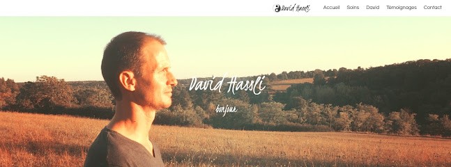 David Hassli, Shiatsu & soins énergétiques à Tours, Praticien de Médecine Alternative à Luynes