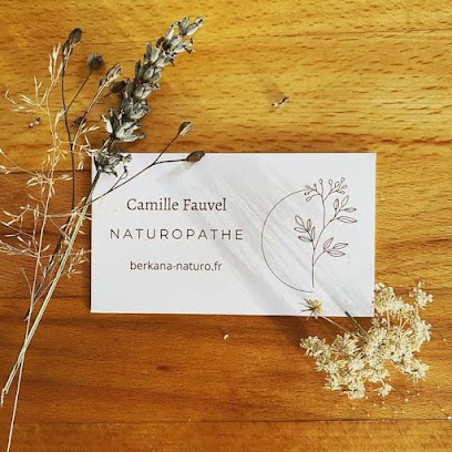 Camille Fauvel, Praticien de Médecine Alternative à Bruz