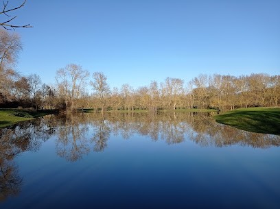 Reiki* Gauvin Viviane Maître Enseignante Reiki, Praticien de Médecine Alternative à Villebernier