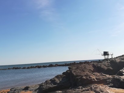 Cohérence & bien-être : Josette Gogendeau - Réflexologue et Naturopathe, Praticien de Médecine Alternative à Saint-Mars-du-Désert