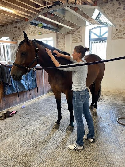 Caroline B - Bien Etre et Santé du Cheval, Praticien de Médecine Alternative à Subligny