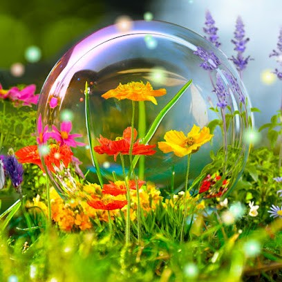 Valérie D'HAUSSY, Praticien de Médecine Alternative à Haspres