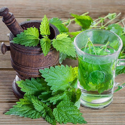 COSMOSBYTES-GEOBIOPLUS, Praticien de Médecine Alternative à Saint-Flour