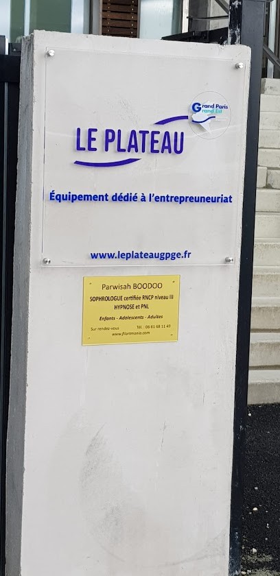 BOODOO Parwisah, Praticien de Médecine Alternative à Montfermeil