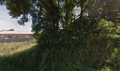 Nelly Pelletreau - Hypnose, Numérologie et Réflexologie, Hypnothérapeute à Cerizay