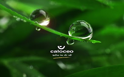 CALOCEO Marseille - Centre De Santé Naturelle, Praticien de Médecine Alternative à Marseille 10