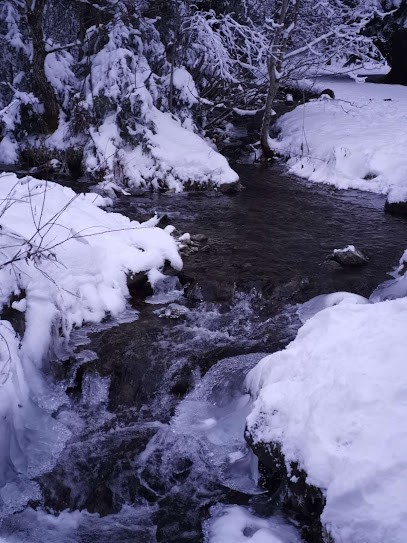 Philippe Garzia Magnétiseur, Méridienologie,Réflexologie, Praticien de Médecine Alternative à Grenoble