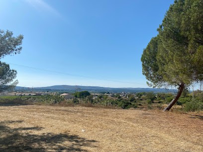 Gorry Corinne Naturopathe Énergétique, Praticien de Médecine Alternative à Gigean