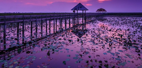 Chloé Valot - C'Naï-Naï, Praticien de Médecine Alternative à Draveil