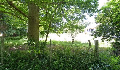 Marine Penot, Praticien de Médecine Alternative à Plonéour-Lanvern