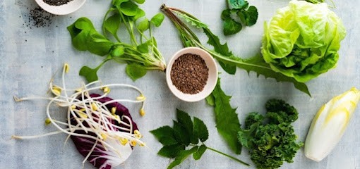 Emmanuelle Charles - Naturopathe Annecy, Praticien de Médecine Alternative à Annecy