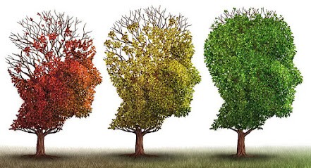 Praticienne Neurofeedback Dynamique - Jessica Taillandier - Domicile 77/02/51, Praticien de Médecine Alternative à Saâcy-sur-Marne