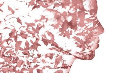 COLLAS MARIE CHRISTINE, Praticien de Médecine Alternative au Fleix